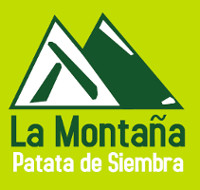 Logo cluster